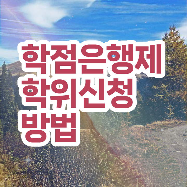  학점은행제 전공필수 전공선택 정보 제공