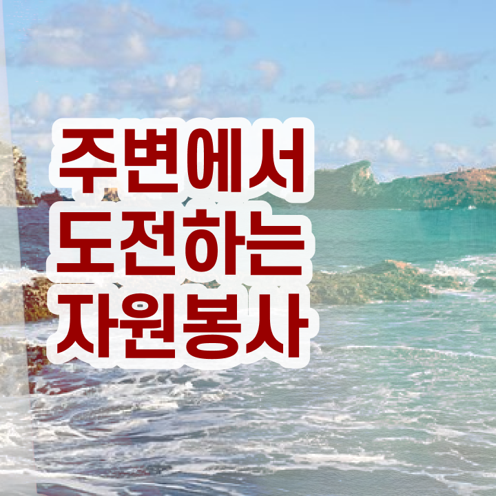  마라톤 자원봉사 , 자원봉사지도사 자격증 온라인 강의 후기 , 현황과 채용 정보