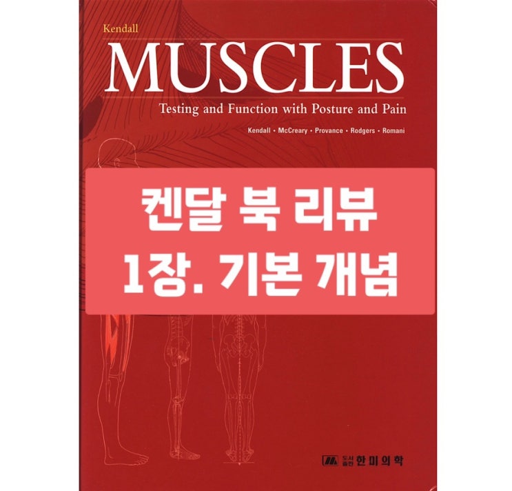  켄달 북 리뷰 - 자세와 통증 치료에 있어서 근육의 기능과 검사