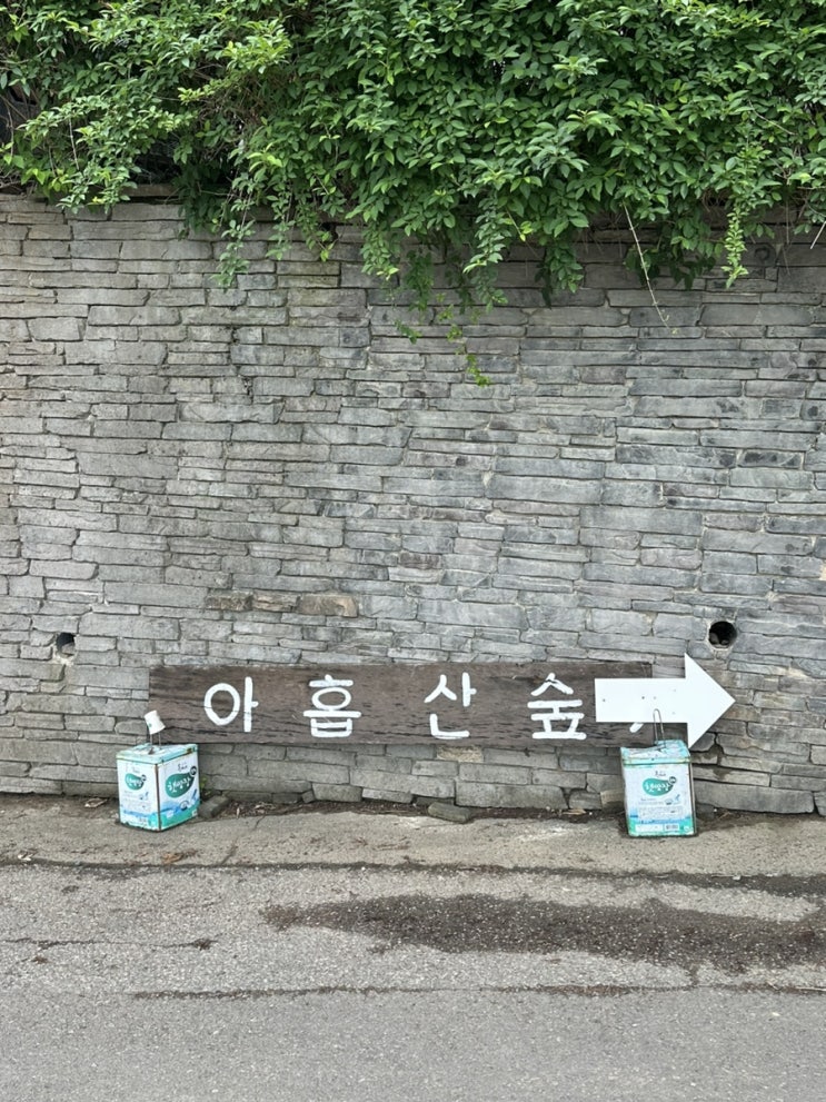  부산 여행:)_공기 좋고 생기 넘치는 ‘아홉산숲’에서의 산책과 맛있는 커피로 힐링하기(with 카페 다락)