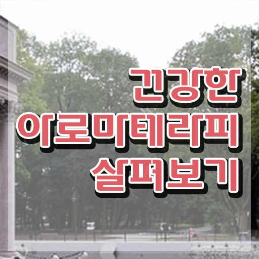  아로마뷰티diy지도사 학점은행 , 아로마뷰티DIY지도사 자격증 취득 후 고용 전망 소개