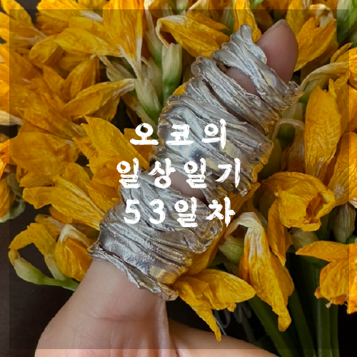  오코의 100일 작업일기 DAY 53 이래저래 하루가 지났네