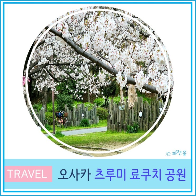  일본 오사카 여행 가볼 만한 곳 데이트 핫플 산책 코스 추천 츠루미 료쿠치 공원 벚꽃 후기