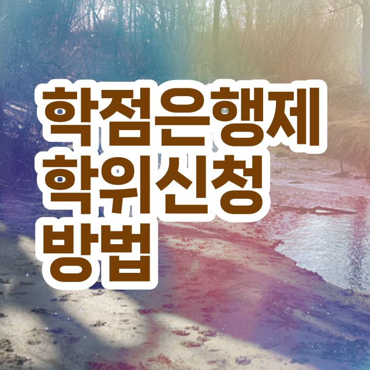  학점은행제 학사 정보 제공