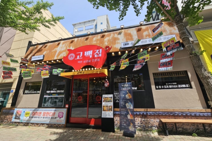  대전 탄방동 삼겹살 백반 맛집 고백집