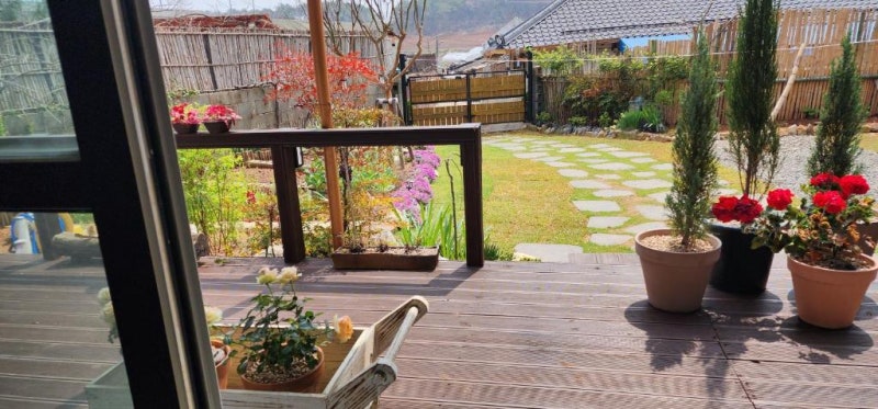고운정