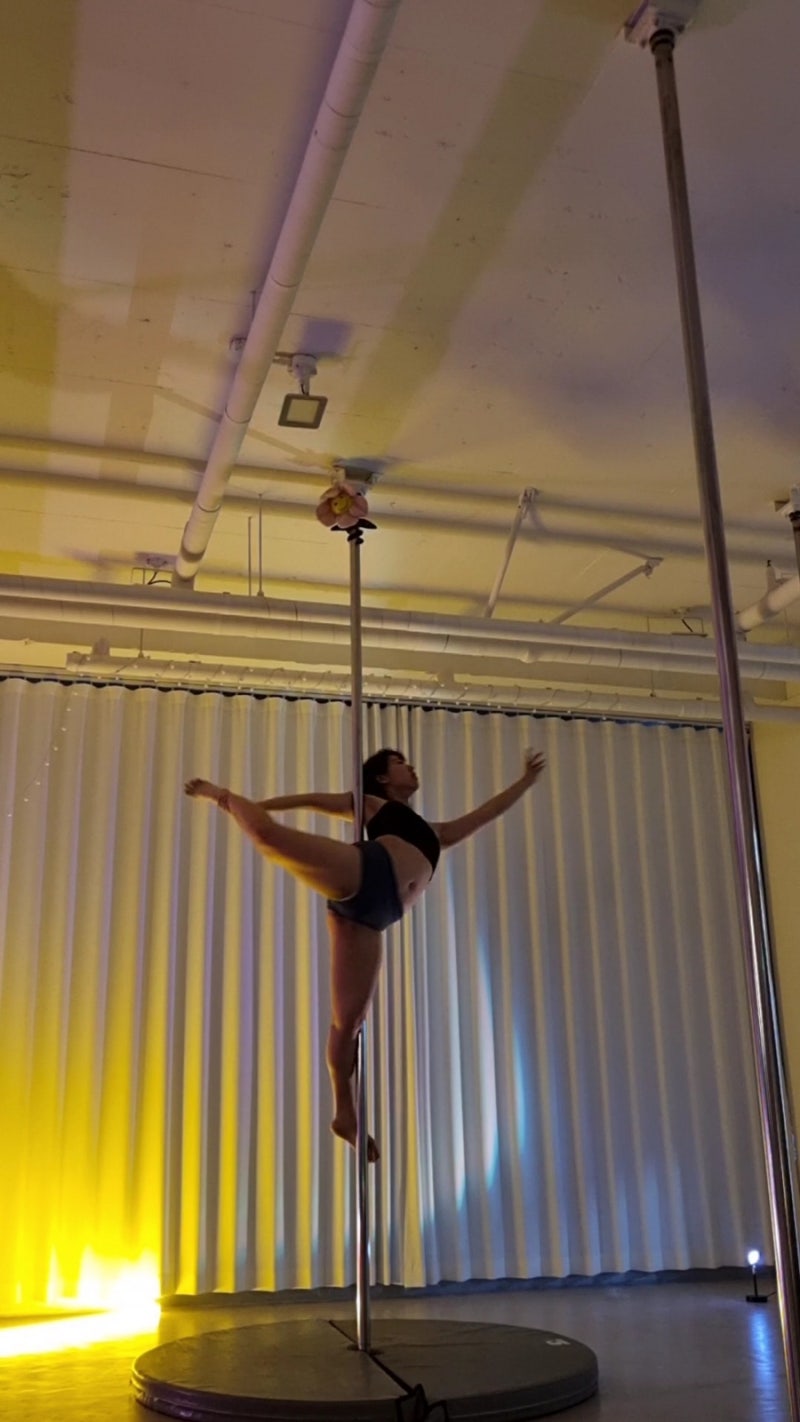 폴댄스]135,136/초3,중1/아라베스크, 드래곤플라이(실패) : 네이버 블로그, image size:800x1422