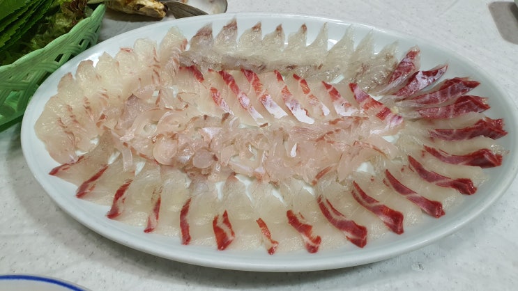  [사천 곤양면] 사천 현지인맛집 새등대횟집 방문 간단 솔직 후기