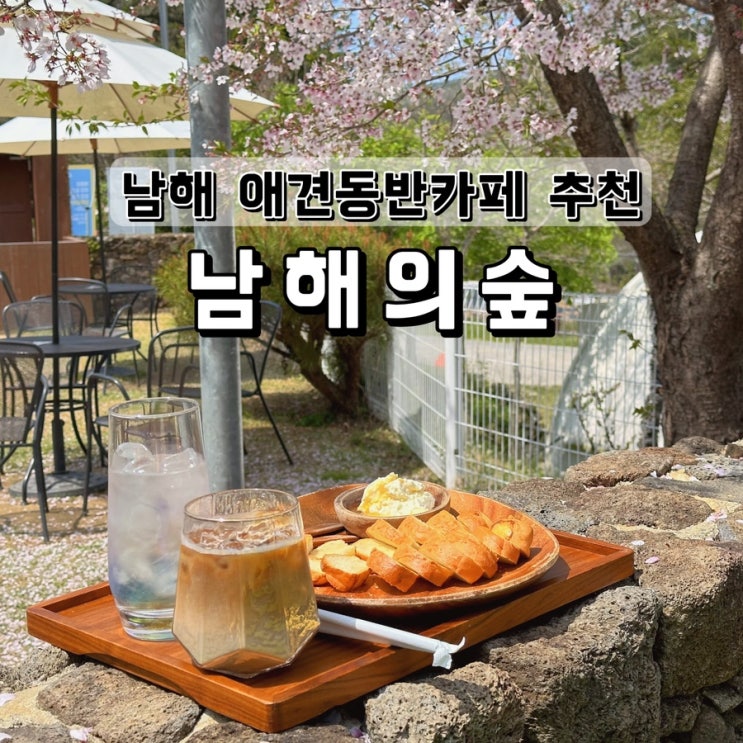 남해 애견동반카페 추천 카이막맛집 남해의숲
