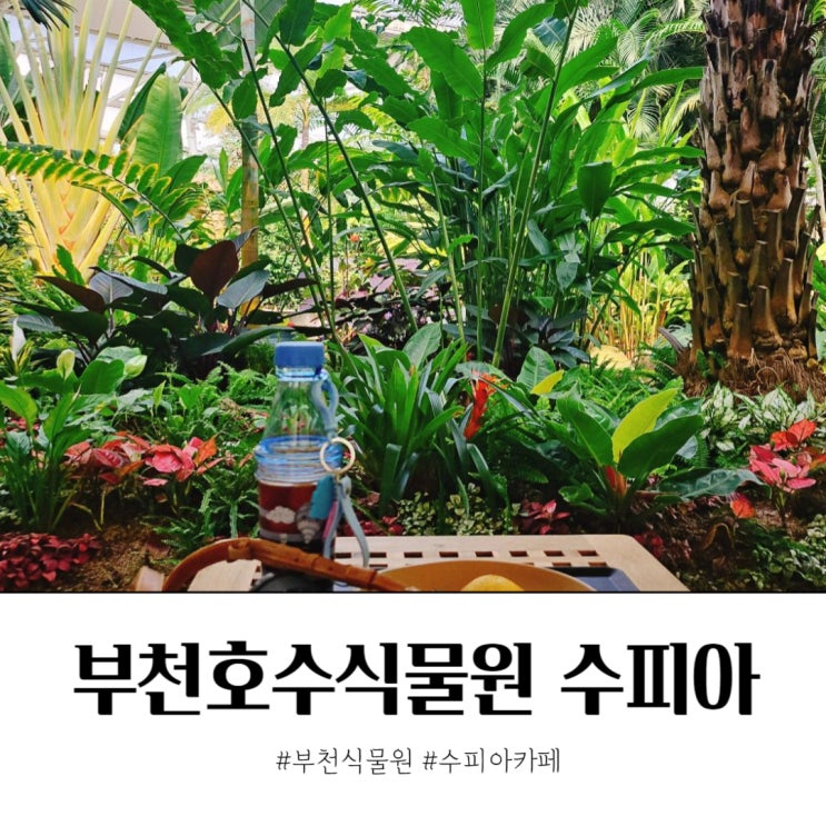  부천호수공원 수피아식물원 카페 풀멍