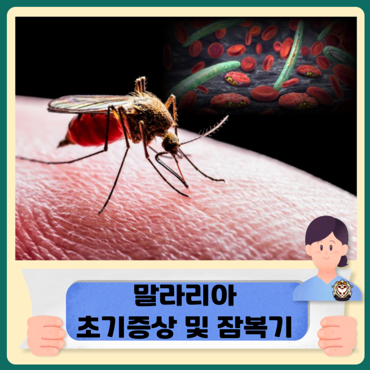  말라리아 초기증상 및 잠복기