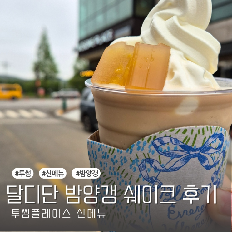  투썸플레이스 신메뉴 달디단 밤양갱 쉐이크 내돈내산 솔직후기