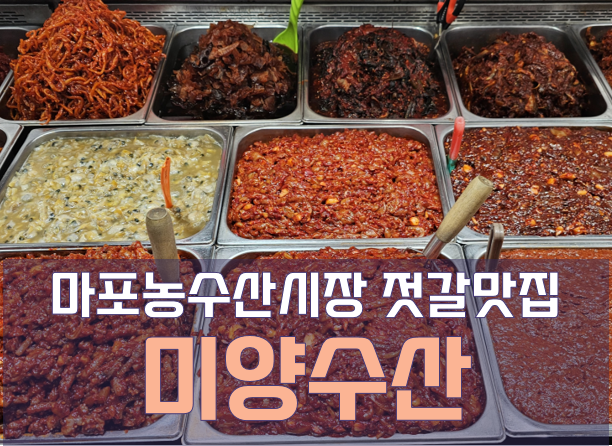  마포농수산물시장 젓갈 맛집 미양수산