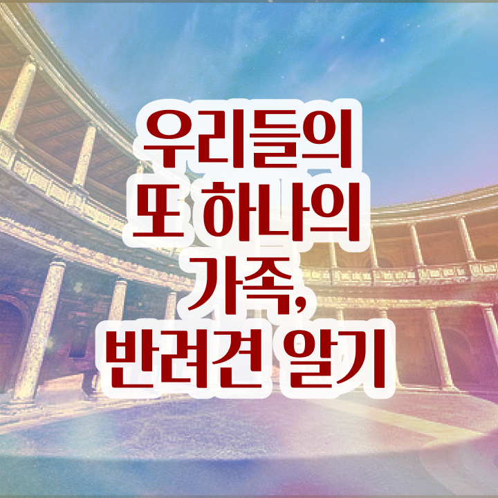  반려동물관리사필기시험 , 반려동물관리사 자격증 취업관련 정보 체크