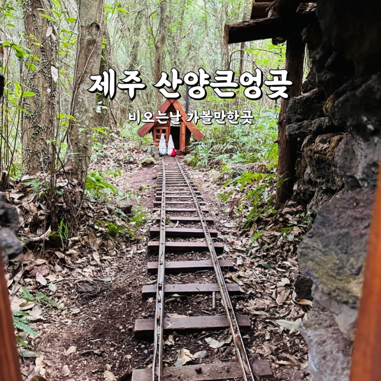  산양큰엉곶 주차 입장료 제주 서쪽 비오는날 가볼만한곳