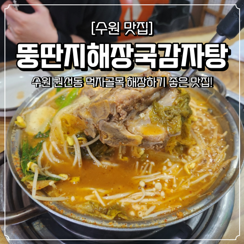  수원 권선동 맛집 뚱딴지감자탕해장국 점심 메뉴로 추천