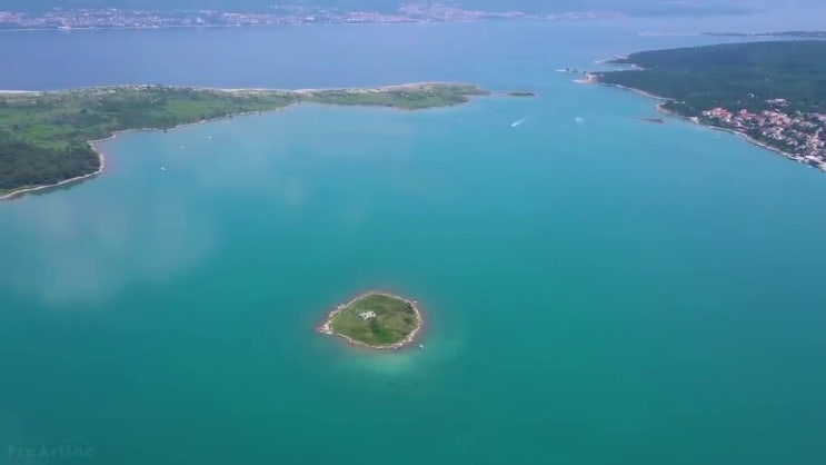  버섯산업기사 취업 버섯산업기사 자격요건 고졸자도 집에서 온라인으로 4달 안에 끝낼수 있었던 과정