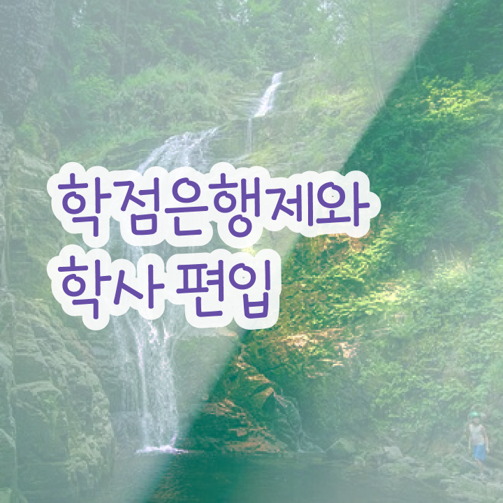  학점은행제 방법 , 학은제 멘토 이 항목만 반드시 확인해보세요