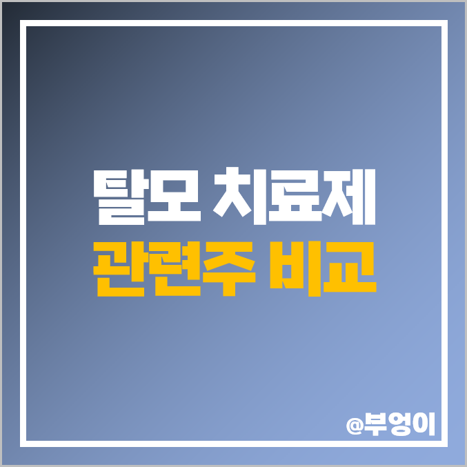 탈모 치료제 관련주 피플바이오 주식 바이오니아 주가 현대약품 탈모 치료제 관련주 피플바이오 주식 바이오니아 주가 현대약품