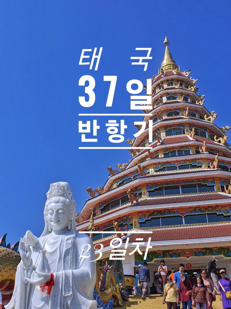  [태국 37일간의 방황기] 23일째 후어이쁠라깡 사원 재소자카페 반담박물관 빅씨 치앙라이 야시장 Book's cafe