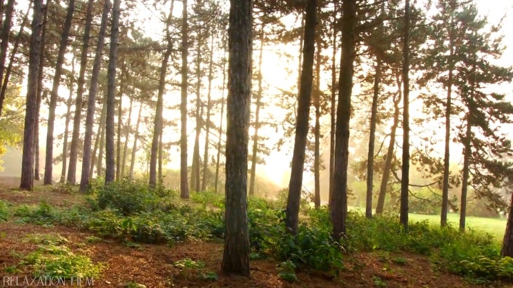  산업안전기사시험 변경 산업안전기사 응시자격 관련학위 없어도 온라인으로 15주 동안 준비하는 전략