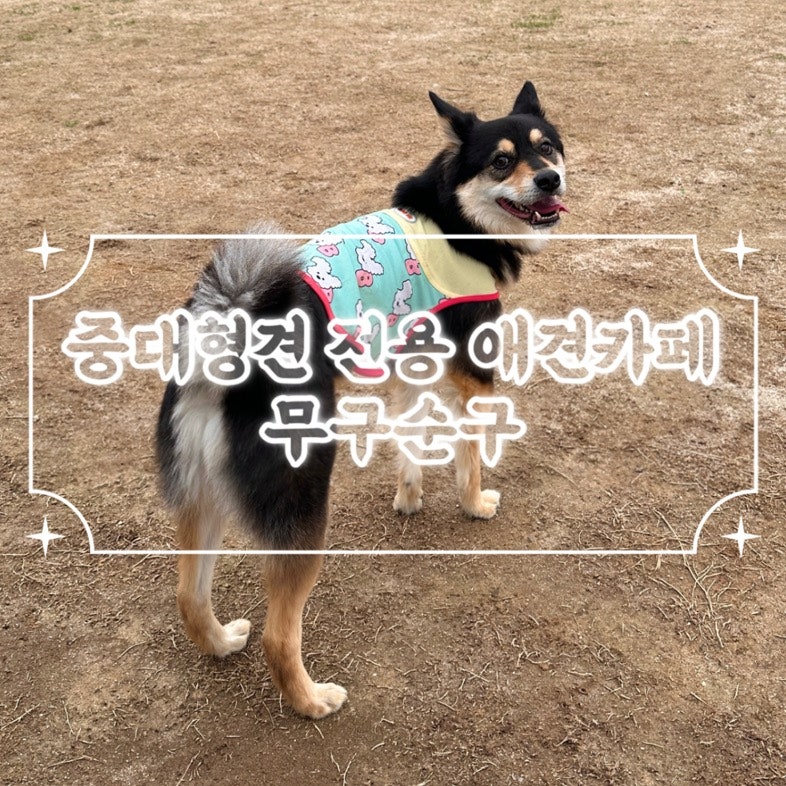 사진 6