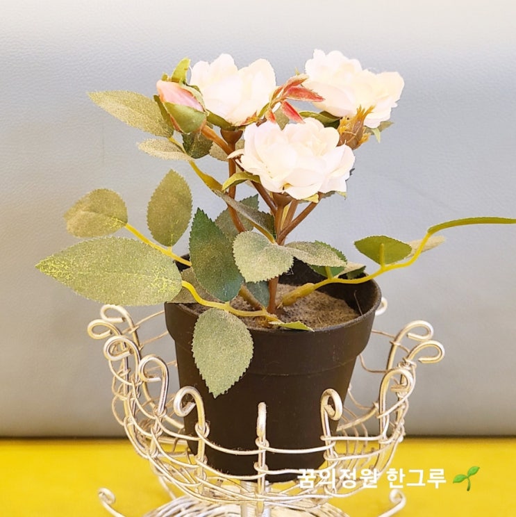  노인 섬망증상 뜻 친정엄마 입원 수술 섬망증세