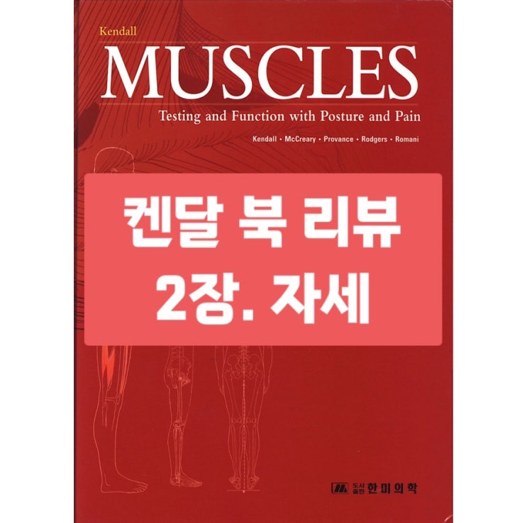  켄달 : 자세와 통증 치료에 있어서 근육의 기능과 검사 2장 - 자세