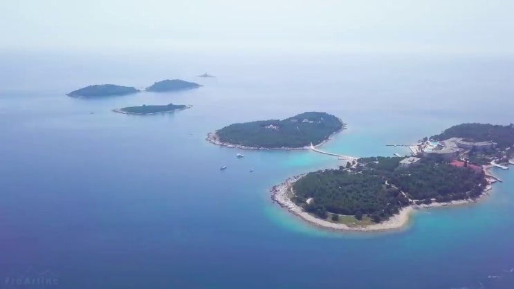  반려동물관리사연봉 , 반려동물관리사 자격증 손쉽고 간편한 공부방법 후기 및 연봉, 취업 전망 등