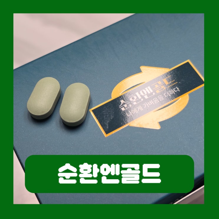  혈액 순환 중요한 이유 은행잎추출물 영양제 순환엔골드