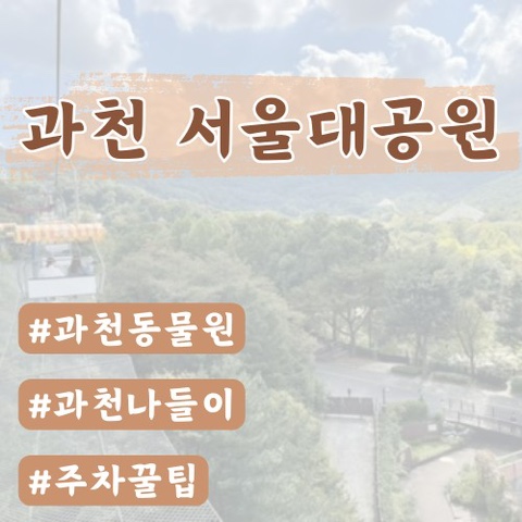  [과천 아이랑] 서울대공원 동물원 꿀팁(주차,입장료,리프트,사자카페,아이쉼터)