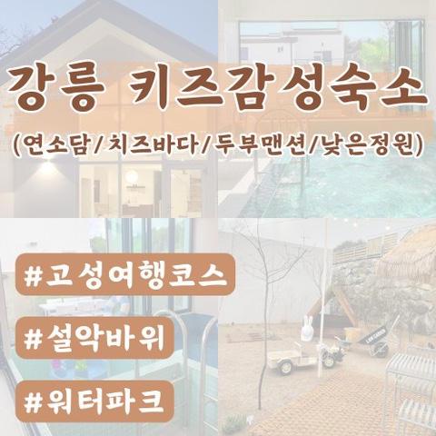  [강릉감성숙소] 키즈감성숙소 모음 (연소담, 치즈바다, 두부맨션, 낮은정원)