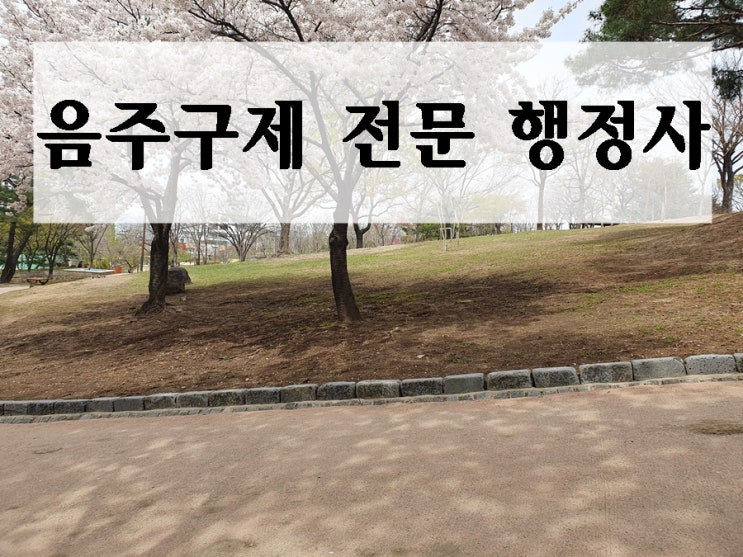  음주운전 0.082% 수치라면 벌금과 면허취소에 대해