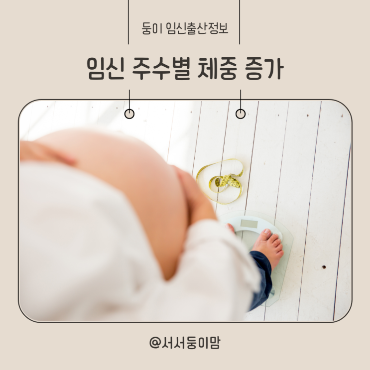  임신 주수별 체중 증가 임산부 적정 몸무게