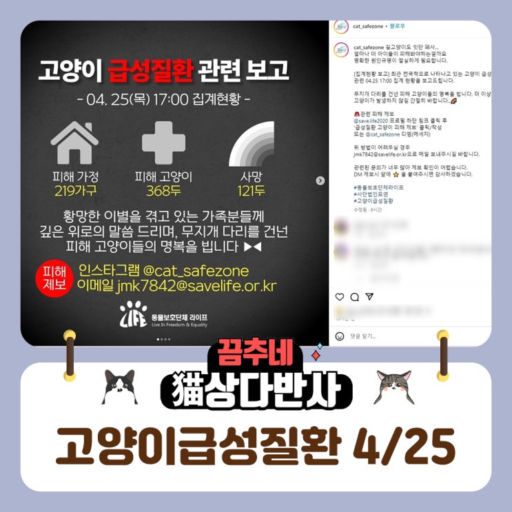  고양이 원인불명 급성질환 4/25일 현재 상황입니다.
