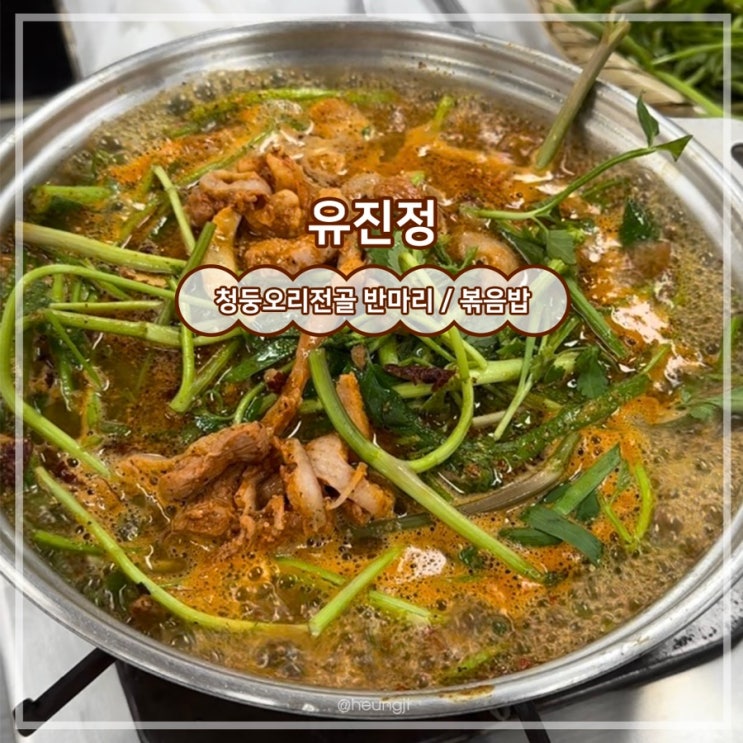  담양 맛집ㅣ부모님 몸보신 미나리 듬뿍 청둥오리전골 ‘유진정’(+택배가능)