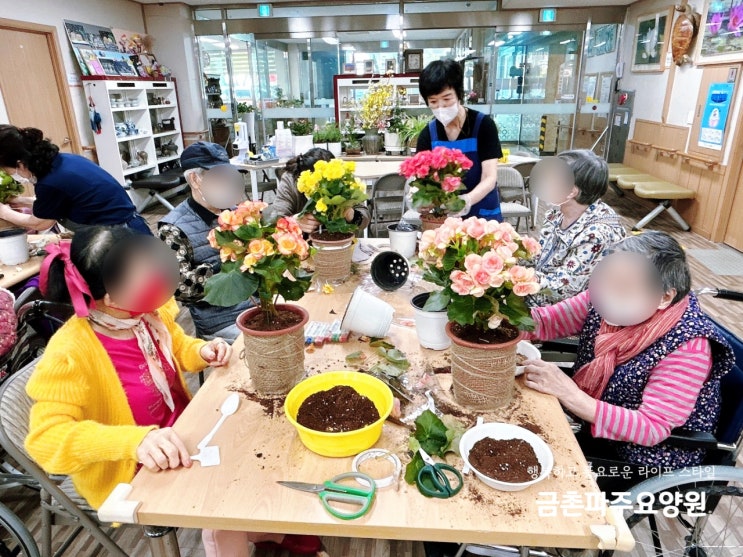 금촌파주요양원에서 어르신들과 꽃화분 꾸미며 힐링해요!