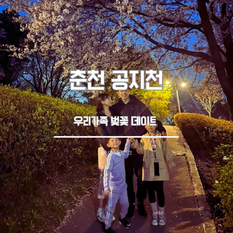  춘천 공지천 밤 벚꽃 데이트