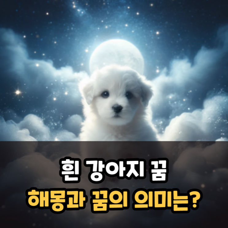 흰 강아지 꿈 해몽과 꿈풀이 의미는?