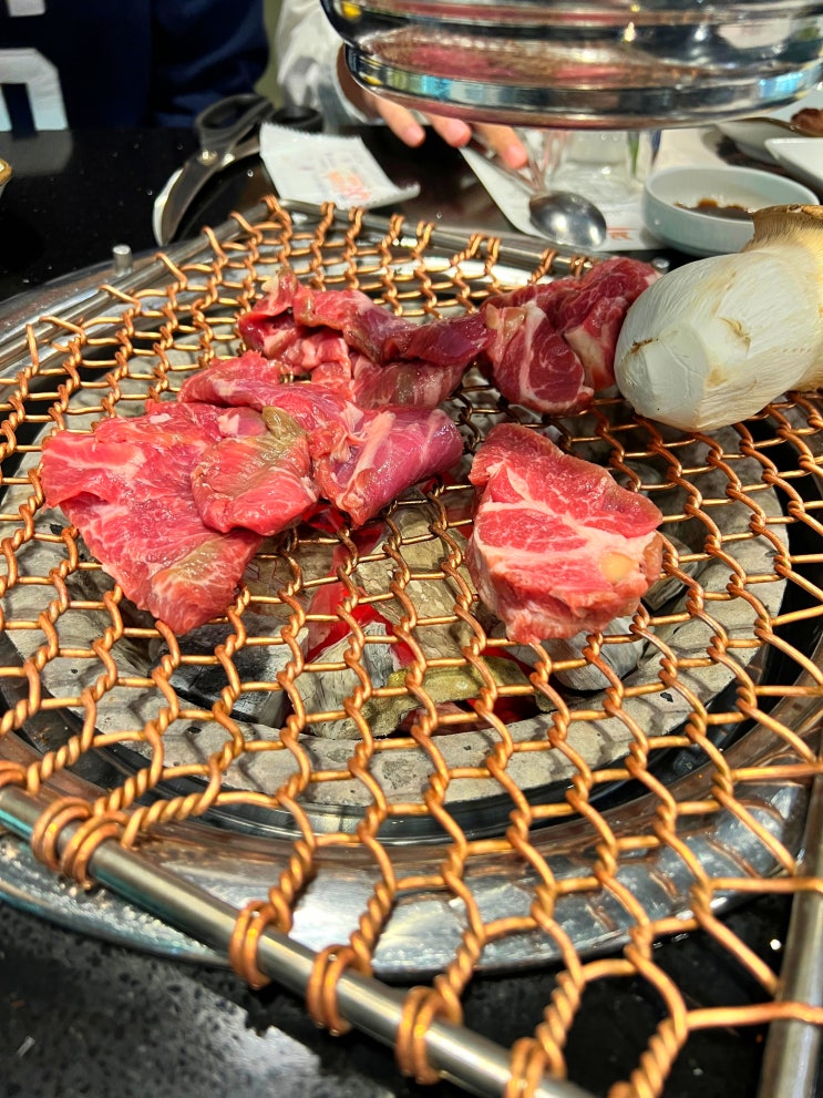  [내돈내산] 부천 양고기 맛집/꼬미양 솔직 리뷰