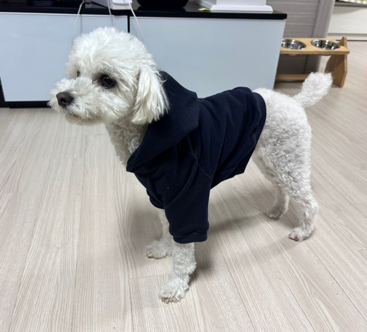  강아지 옷 만들기 후드 봉제 과정샷