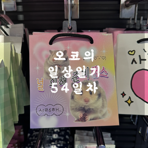  오코의 100일 일상일기 DAY 54 신사동 나들이