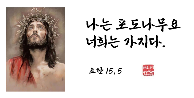 나는 포도나무요 너희는 가지다. 나는 포도나무요 너희는 가지다.