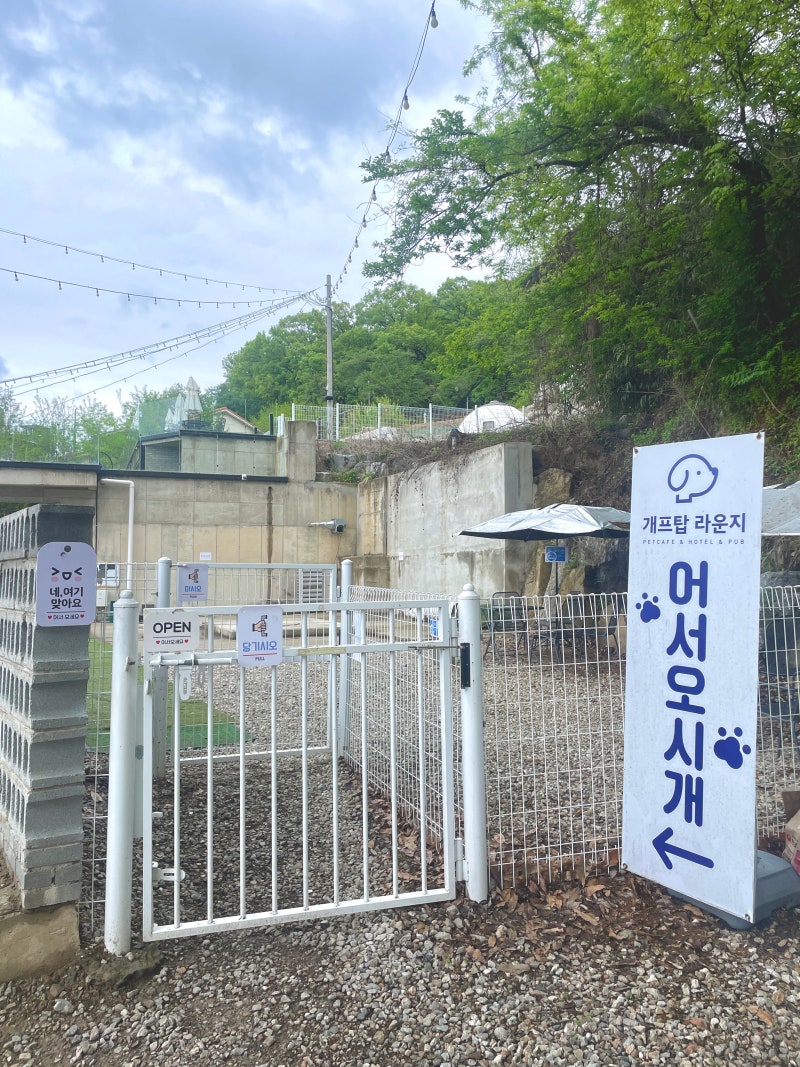 사진 3