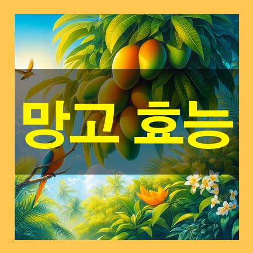  망고의 5가지 효능과 부작용 종류까지