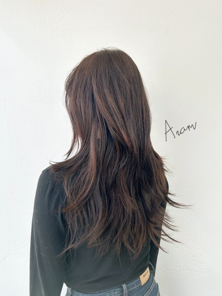  홍대보그헤어 허쉬펌 허쉬컷 아람디자이너