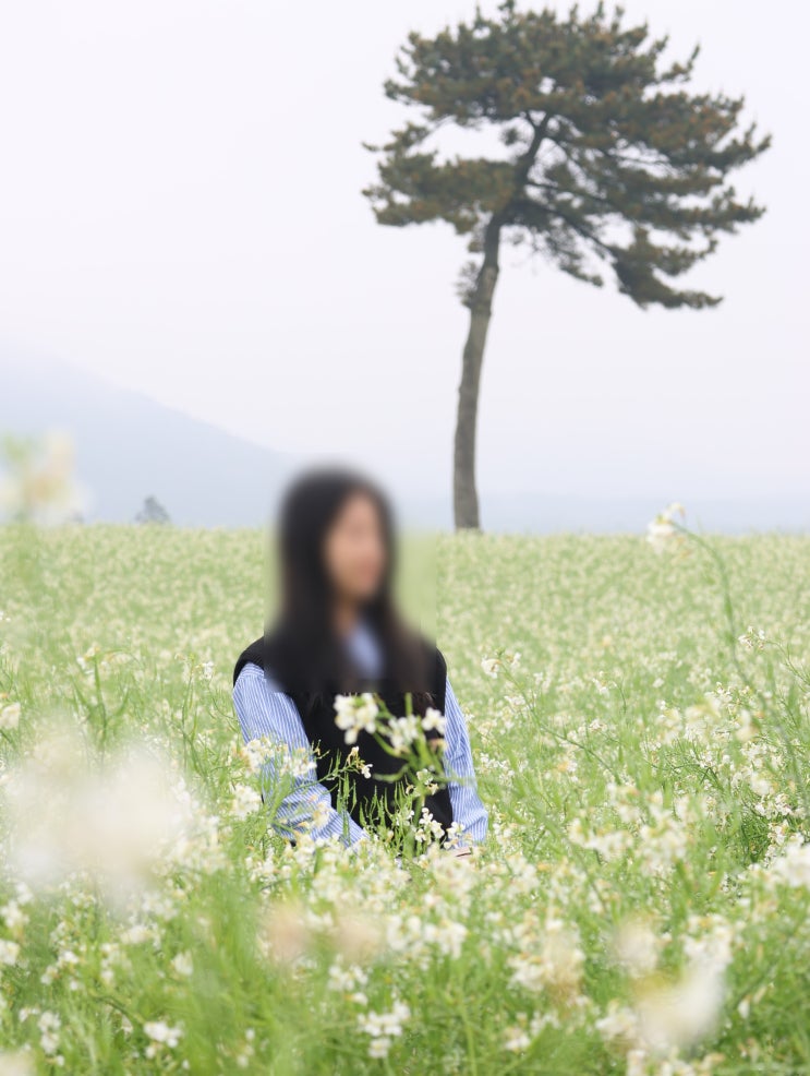  제주도 보롬왓 근처 서귀포펜션, 오션뷰 감성숙소 추천(동쪽 코스)