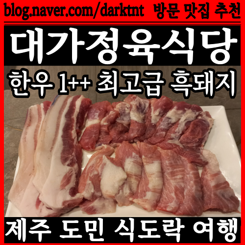제주 최고급 흑돼지 고기 한우 1등급 투뿔 제주도청 맛집 대가정육식당 식도락 도민 탐방