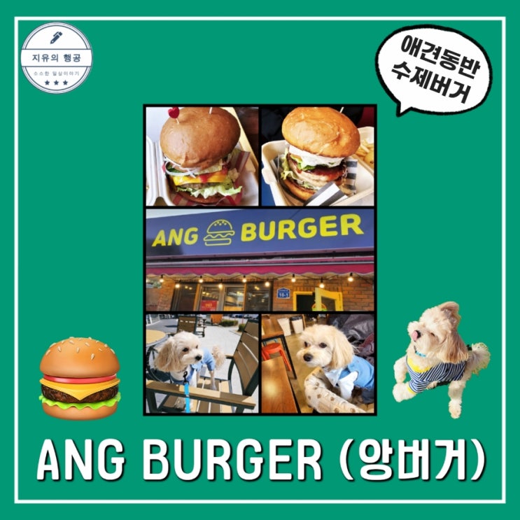 애견동반식당 앙버거 | 강원도 횡성 둔내 맛집 추천 내돈내산 솔직한후기