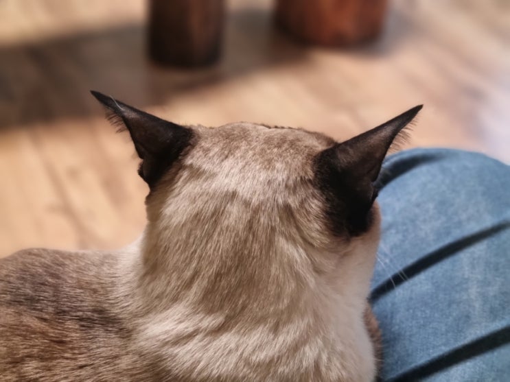  결혼 준비는 순조롭게 진행 중